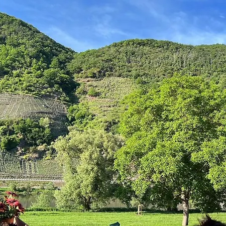 Zur Winzergenossenschaft 3*