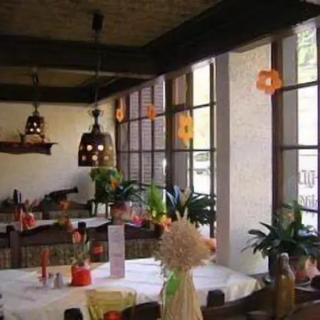 Отель Zur Winzergenossenschaft 3*