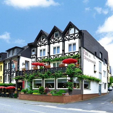 Отель Zur Winzergenossenschaft