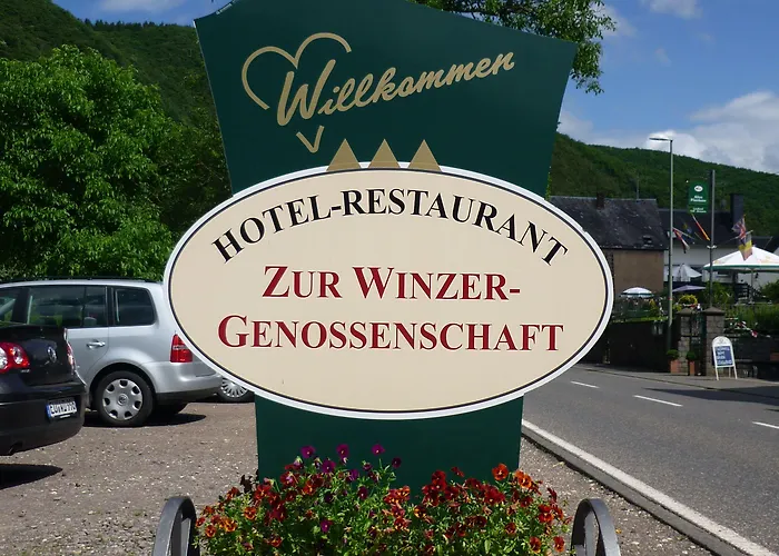 Ξενοδοχείο Zur Winzergenossenschaft Ernst